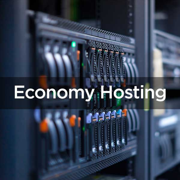 Economy hosting text overlaying an image of a server
