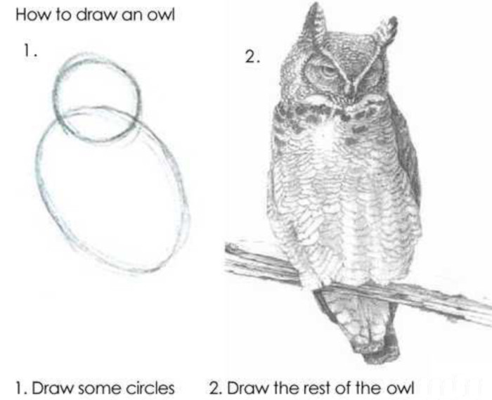 'How to draw an owl' meme